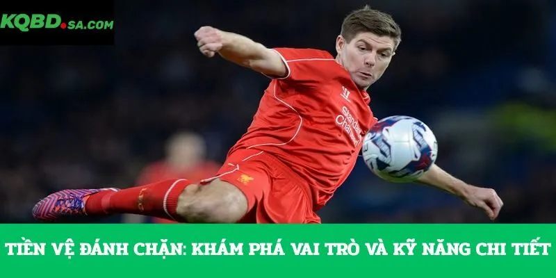 Tiền vệ đánh chặn